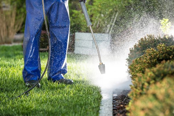 Cost of Curb Cleaning in Paso Robles