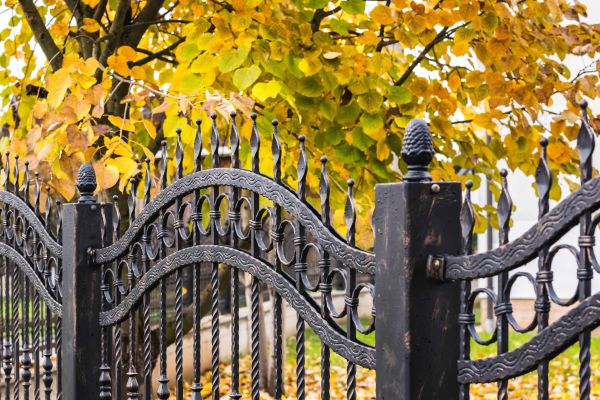 Wrought Iron Fence Washing in Paso Robles