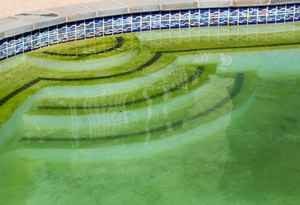 Pool Deck Algae Removal in Paso Robles