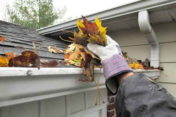 Cost of Eaves Cleaning in Paso Robles
