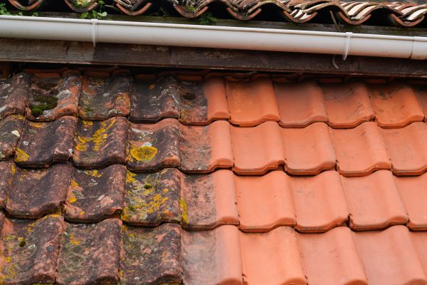 Industrial Roof Cleaning in Paso Robles