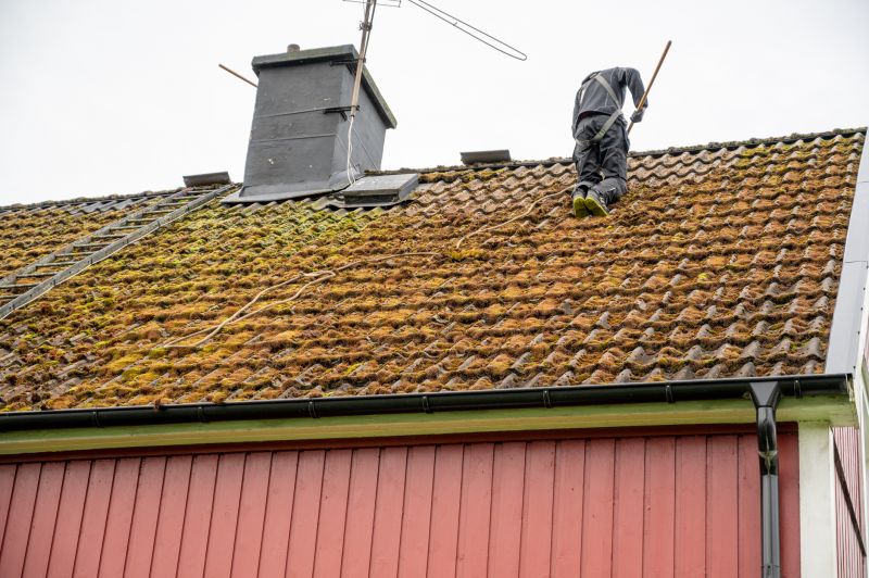 Roof Cleaning Solutions